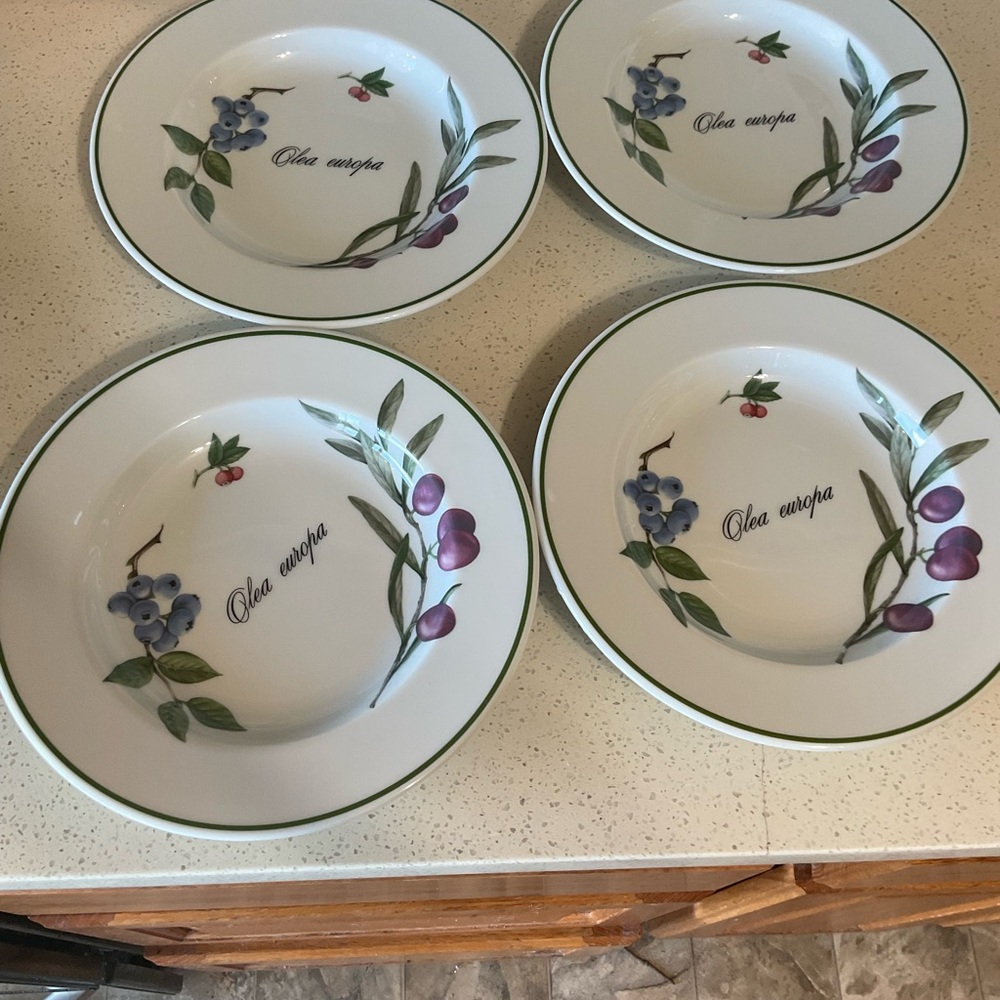 Apilco Plates/ soup bowls- Set of 4